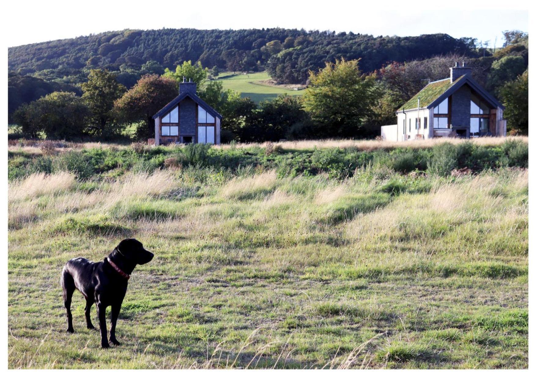 Eco-Lodge With Sea View Charleton Estate Colinsburgh 外观 照片